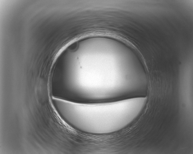 X0000086251533200703291022