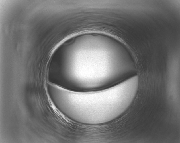 X0000086251534200703291022