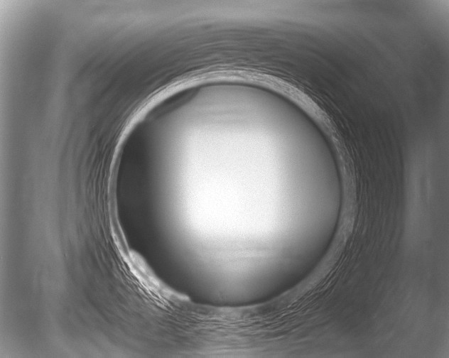 X0000086251536200703291022