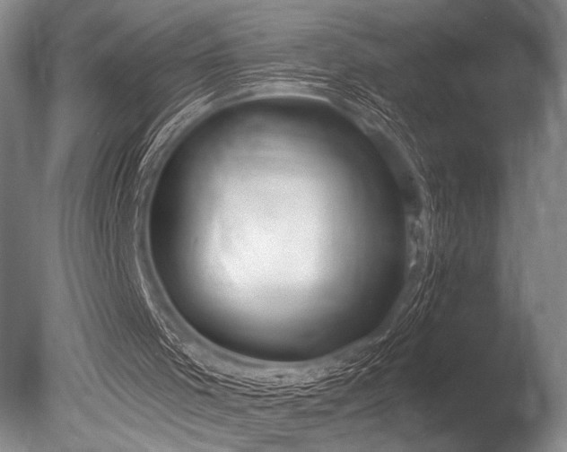 X0000086250001200703291419