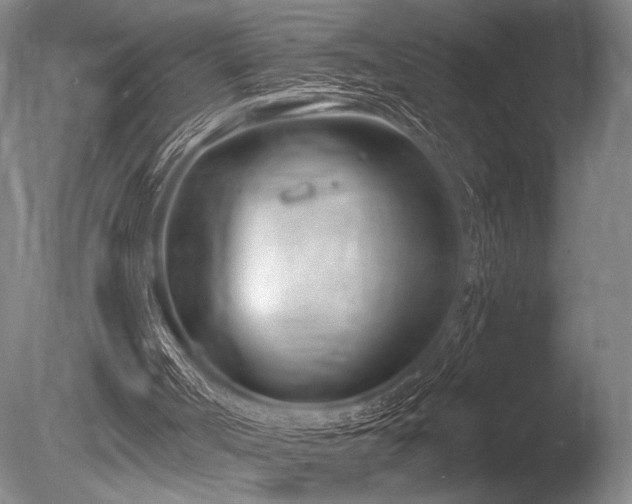 X0000086250002200703291419