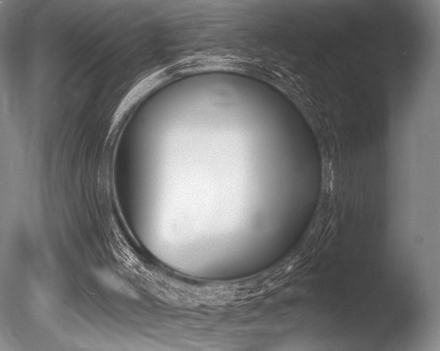 X0000086250004200703291419