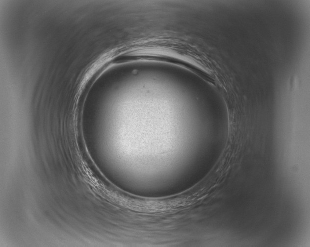 X0000086250006200703291419