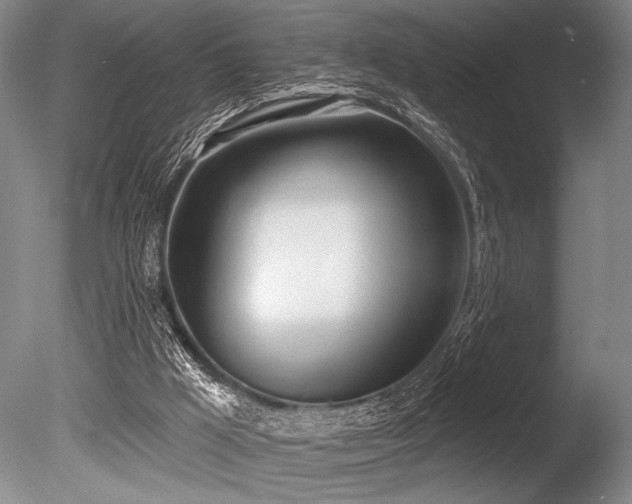 X0000086250009200703291419