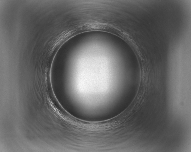 X0000086250010200703291419
