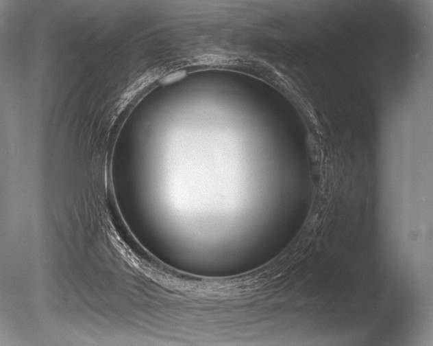 X0000086250011200703291419