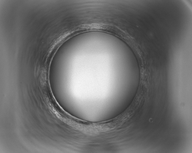 X0000086250012200703291419