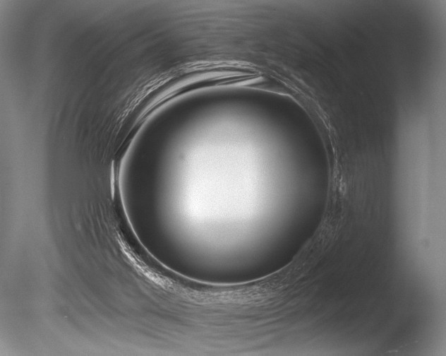 X0000086250013200703291419