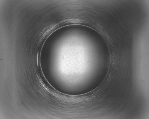 X0000086250014200703291419