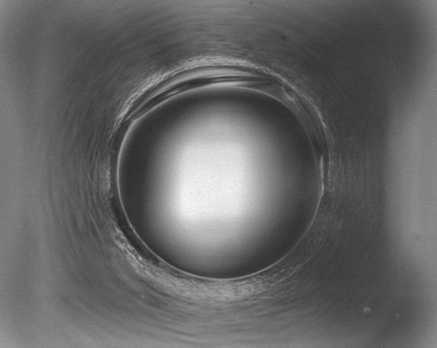 X0000086250015200703291419