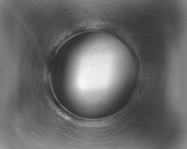 X0000086250017200703291419