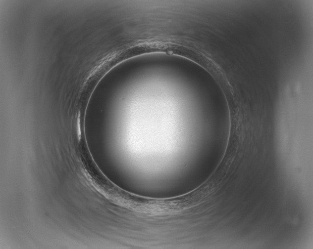 X0000086250020200703291419
