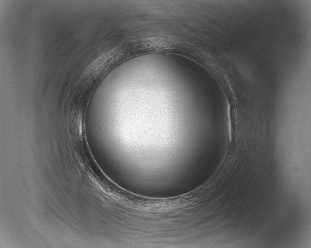 X0000086250021200703291419