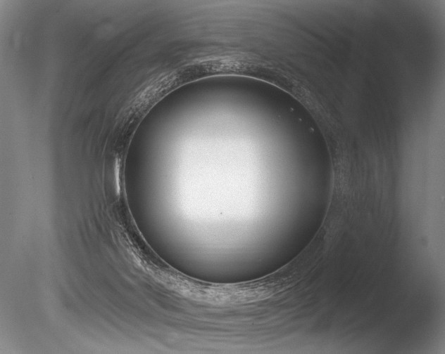 X0000086250022200703291419