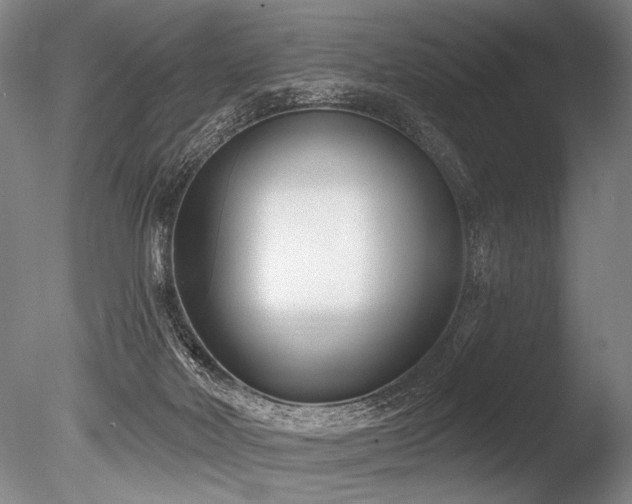 X0000086250026200703291418