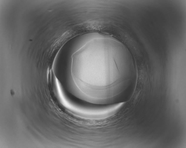 X0000086250027200703291418