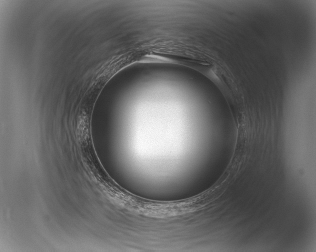 X0000086250029200703291418