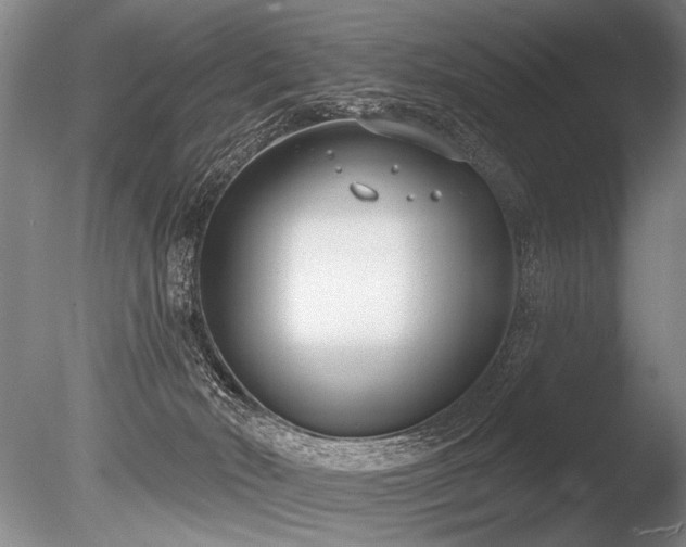 X0000086250030200703291418