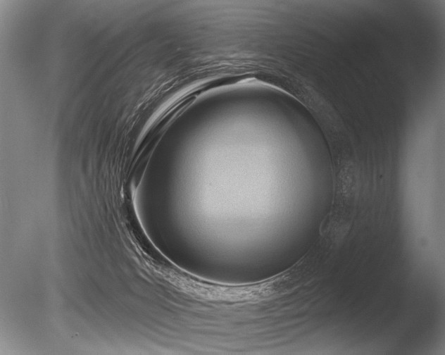 X0000086250031200703291418