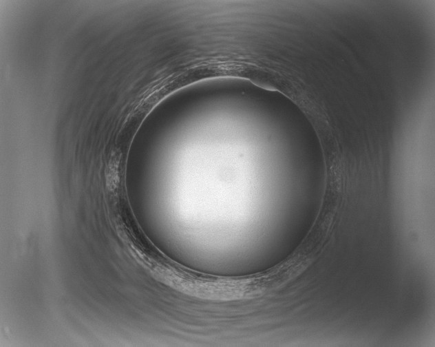 X0000086250032200703291418