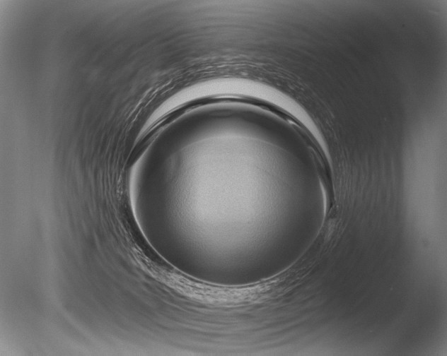 X0000086250035200703291418