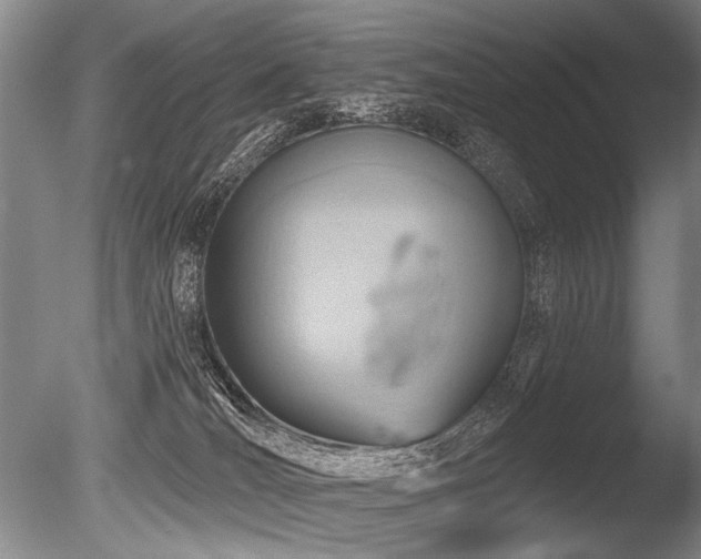 X0000086250036200703291418