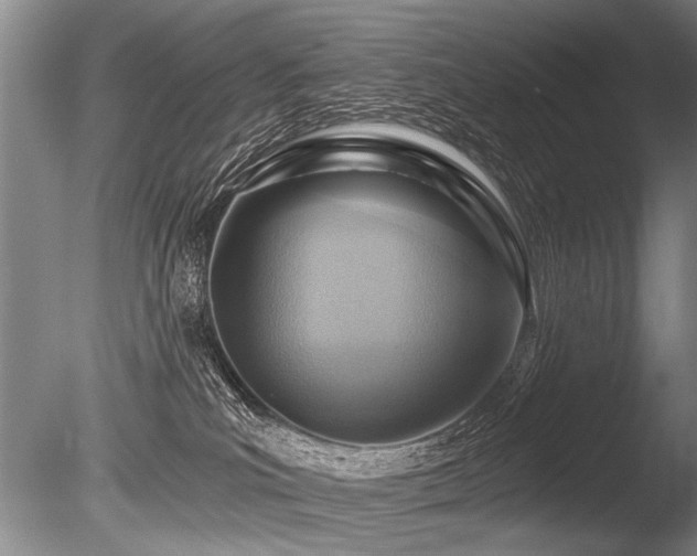 X0000086250039200703291418