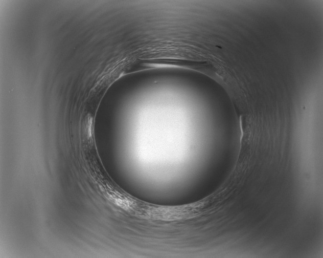 X0000086250041200703291418