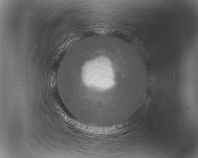 X0000086250043200703291418