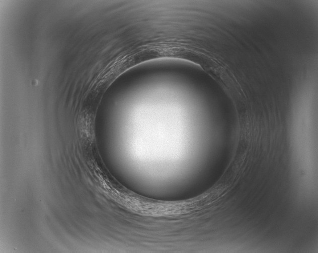 X0000086250044200703291418