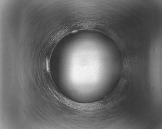 X0000086250046200703291418