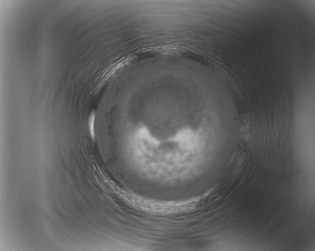 X0000086250047200703291418