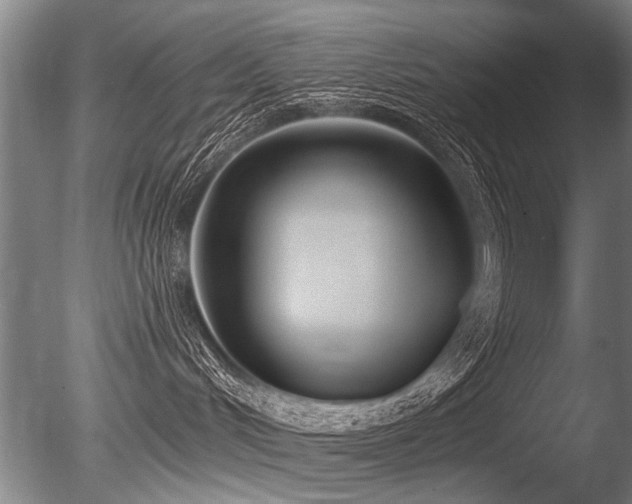 X0000086250048200703291418