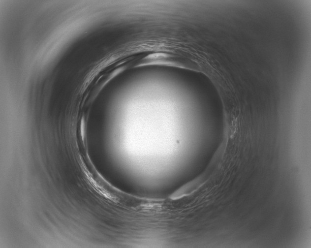 X0000086250052200703291417