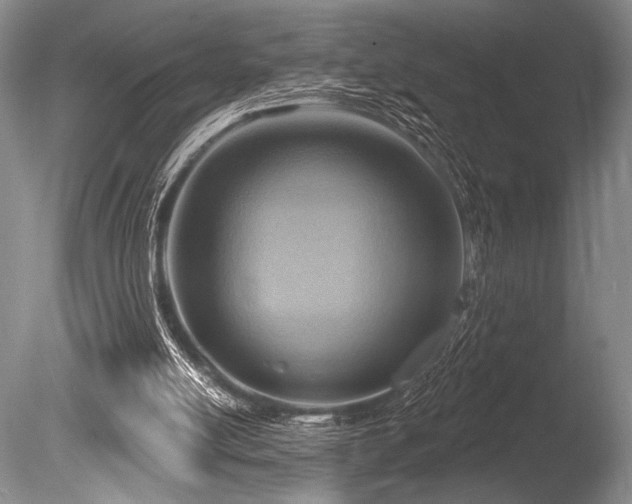 X0000086250054200703291417