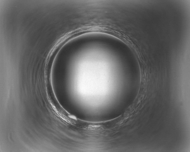 X0000086250055200703291417