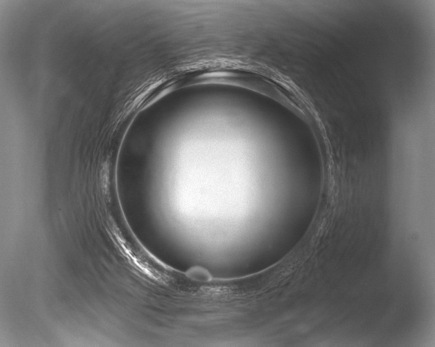 X0000086250057200703291417