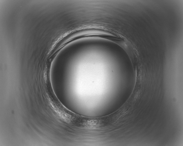 X0000086250064200703291418
