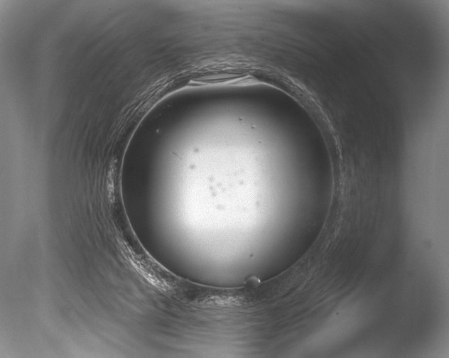 X0000086250065200703291418