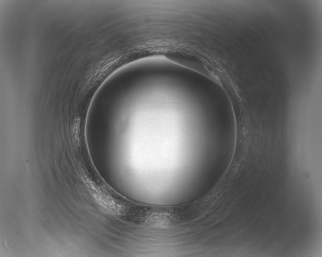X0000086250066200703291418