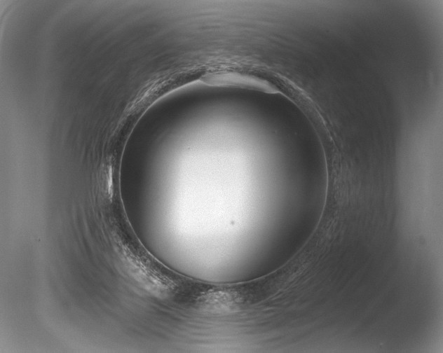 X0000086250067200703291418