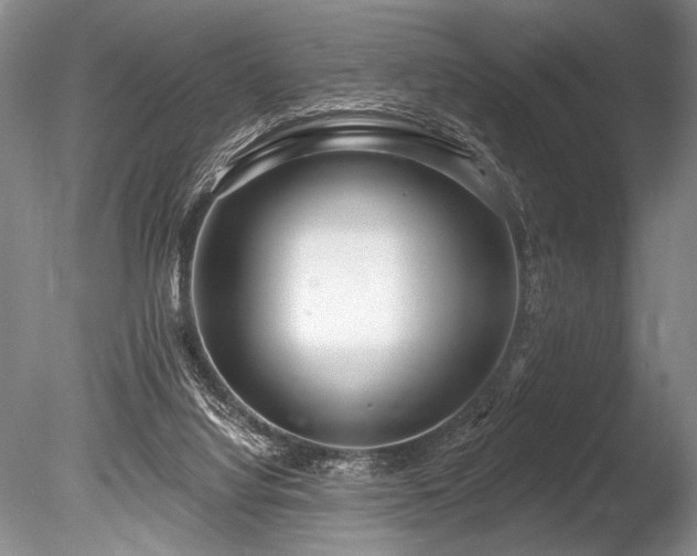 X0000086250068200703291418