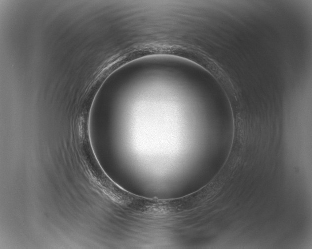 X0000086250071200703291418