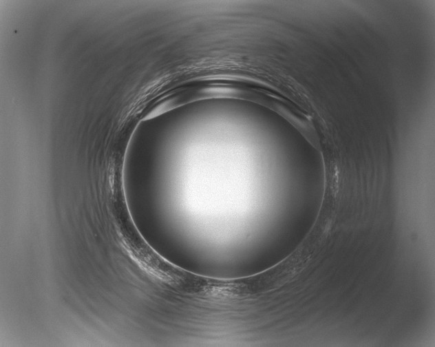 X0000086250072200703291418