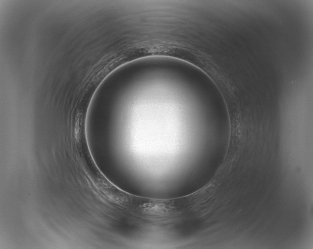 X0000086250074200703291418