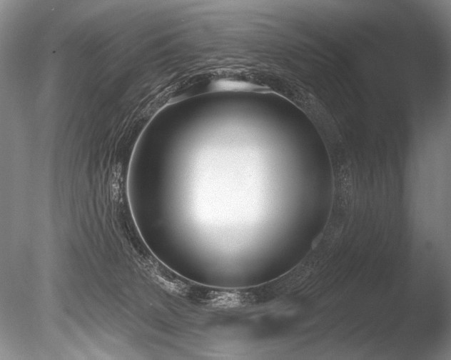 X0000086250083200703291418