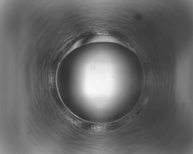 X0000086250084200703291418