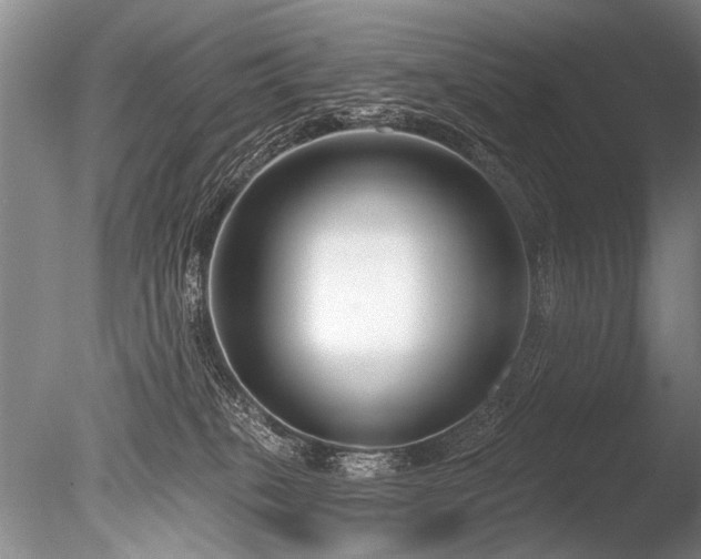 X0000086250085200703291418