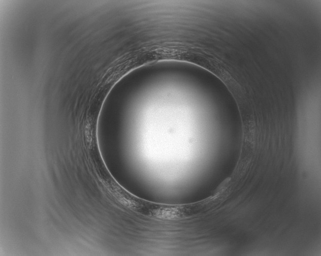 X0000086250086200703291418