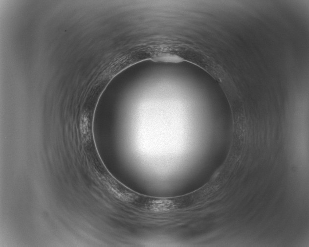 X0000086250087200703291418